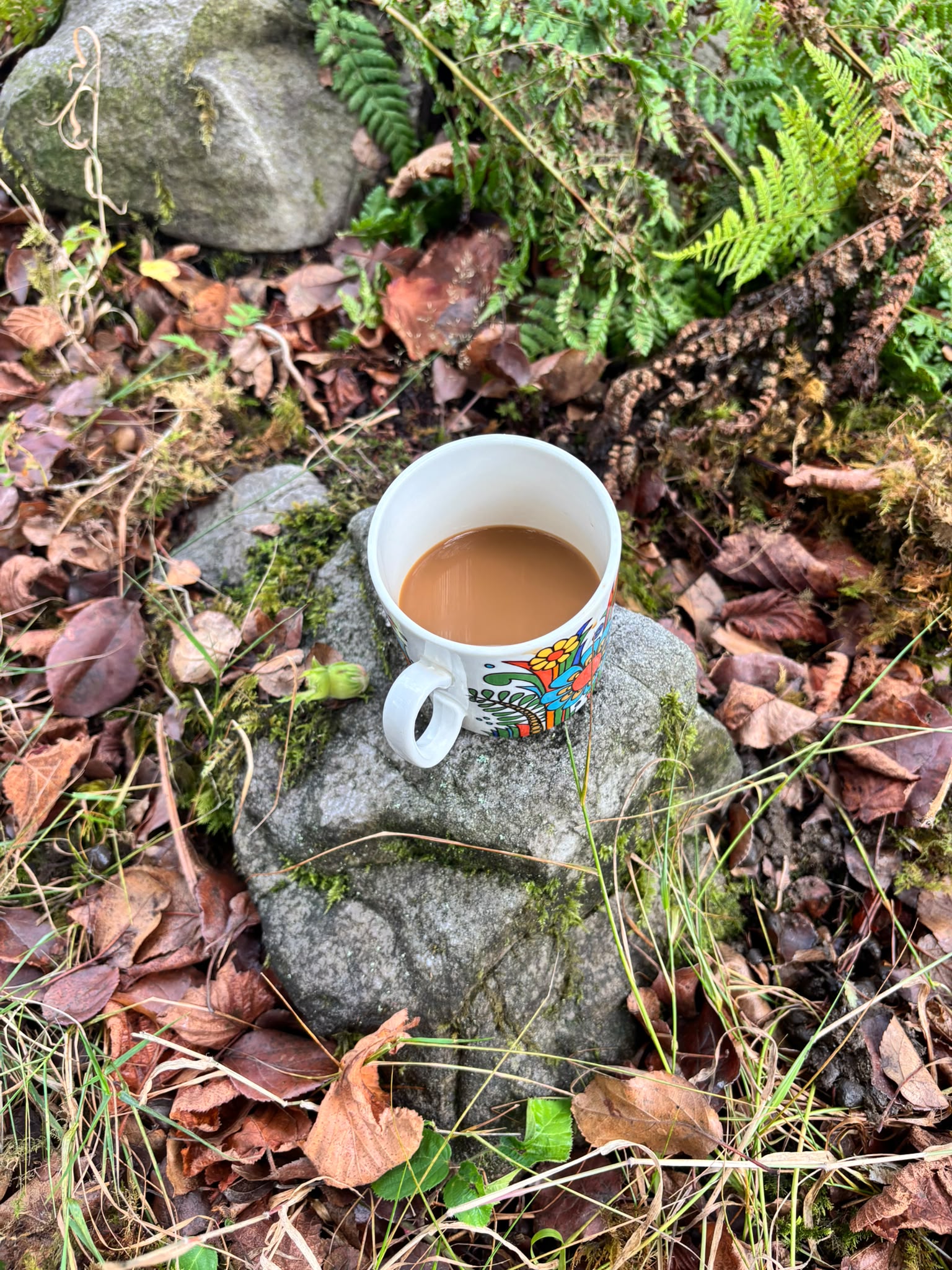 Andes beans, brewed slow